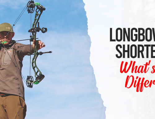 Longbow vs Shortbow: What’s The Difference