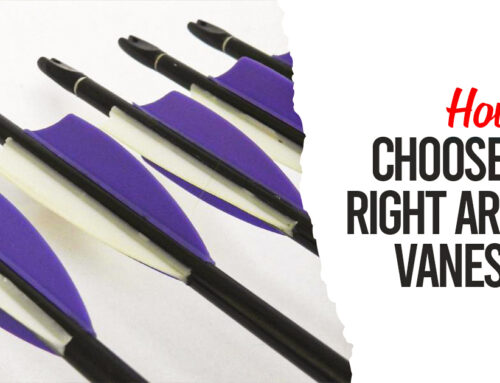 What Is The Arrow Vanes? How To Choose The Right Arrow Vanes For Your Bow?